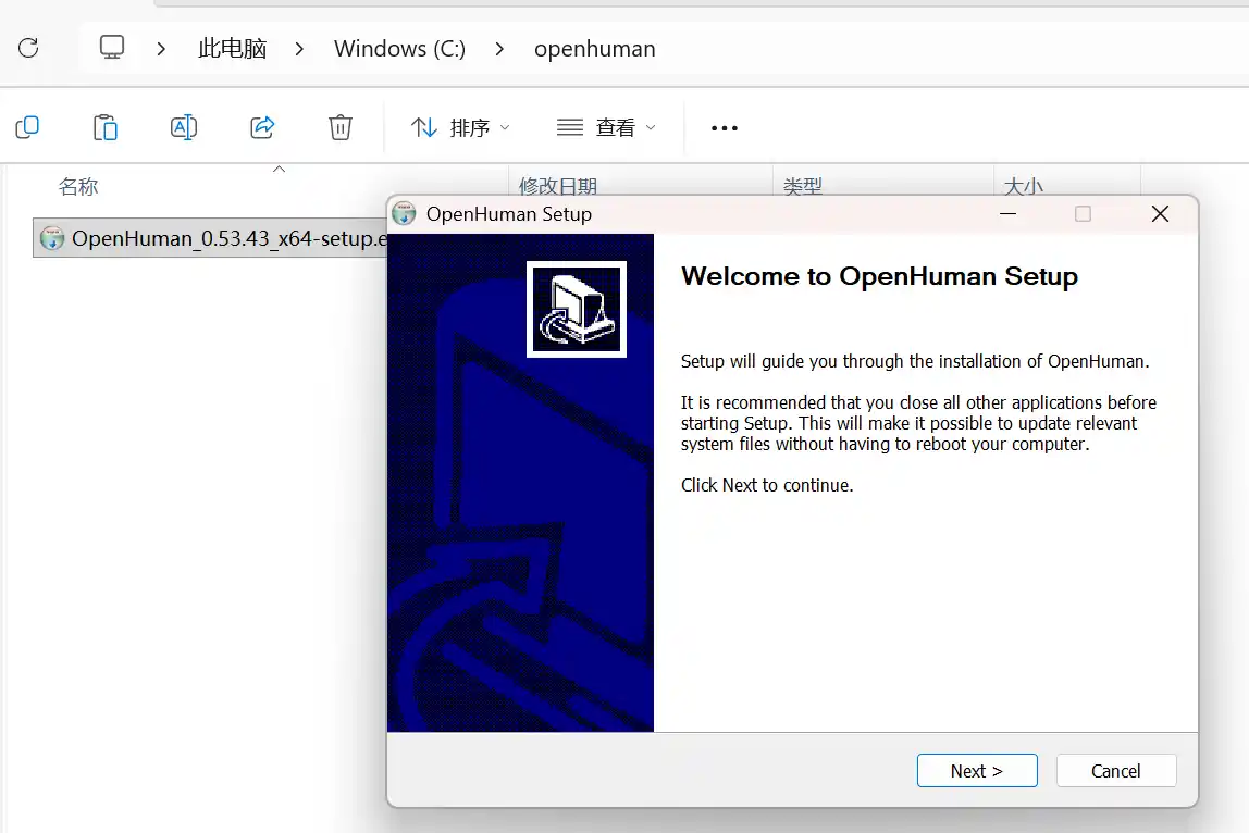 Example OpenHuman Setup welcome screen during install